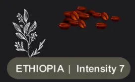 Coffee beans with 'Ethiopia' and 'Intensity 7' text on a dark background